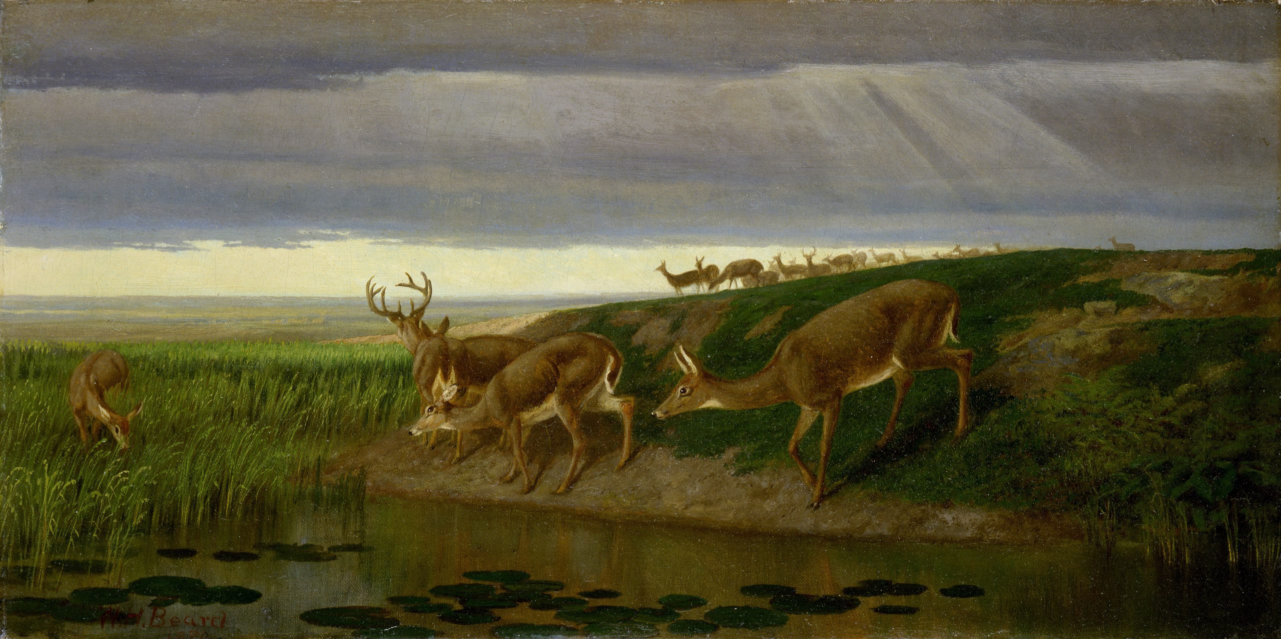 A painting of a group of elks